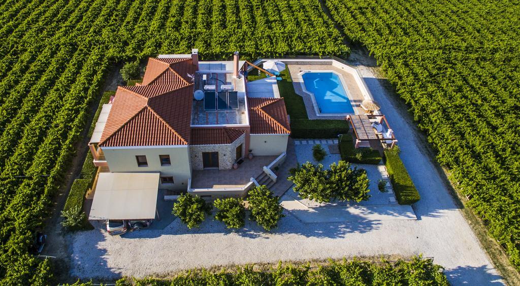 Cretan Vineyard Hill Villa Kato Kalesia المظهر الخارجي الصورة