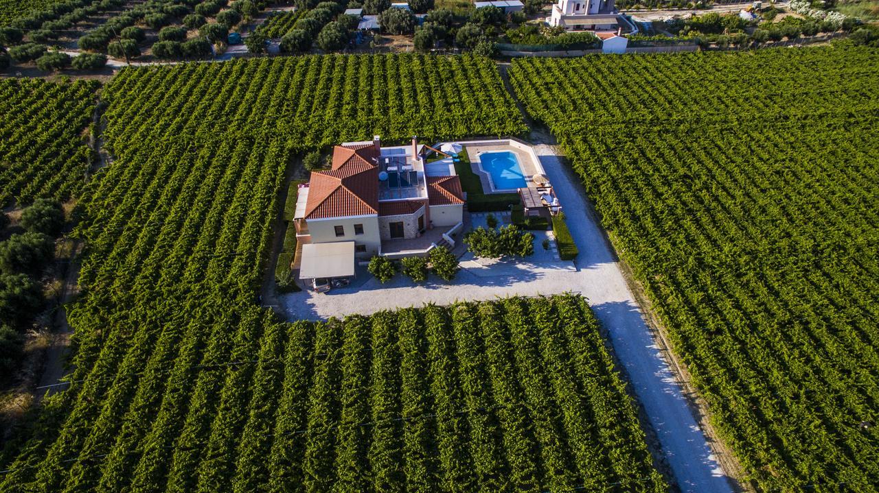 Cretan Vineyard Hill Villa Kato Kalesia المظهر الخارجي الصورة