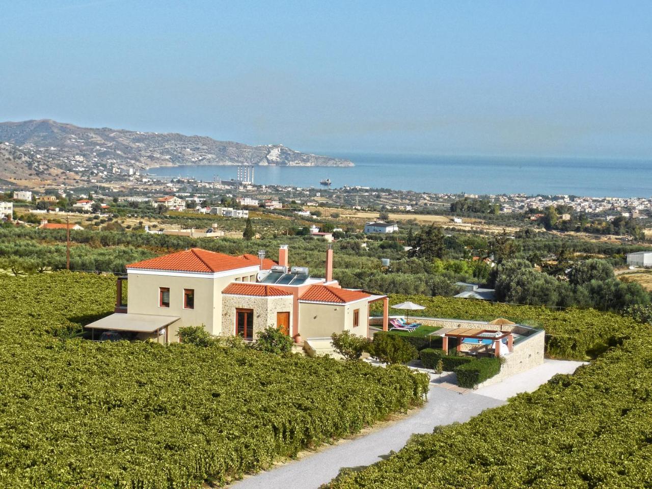 Cretan Vineyard Hill Villa Kato Kalesia المظهر الخارجي الصورة
