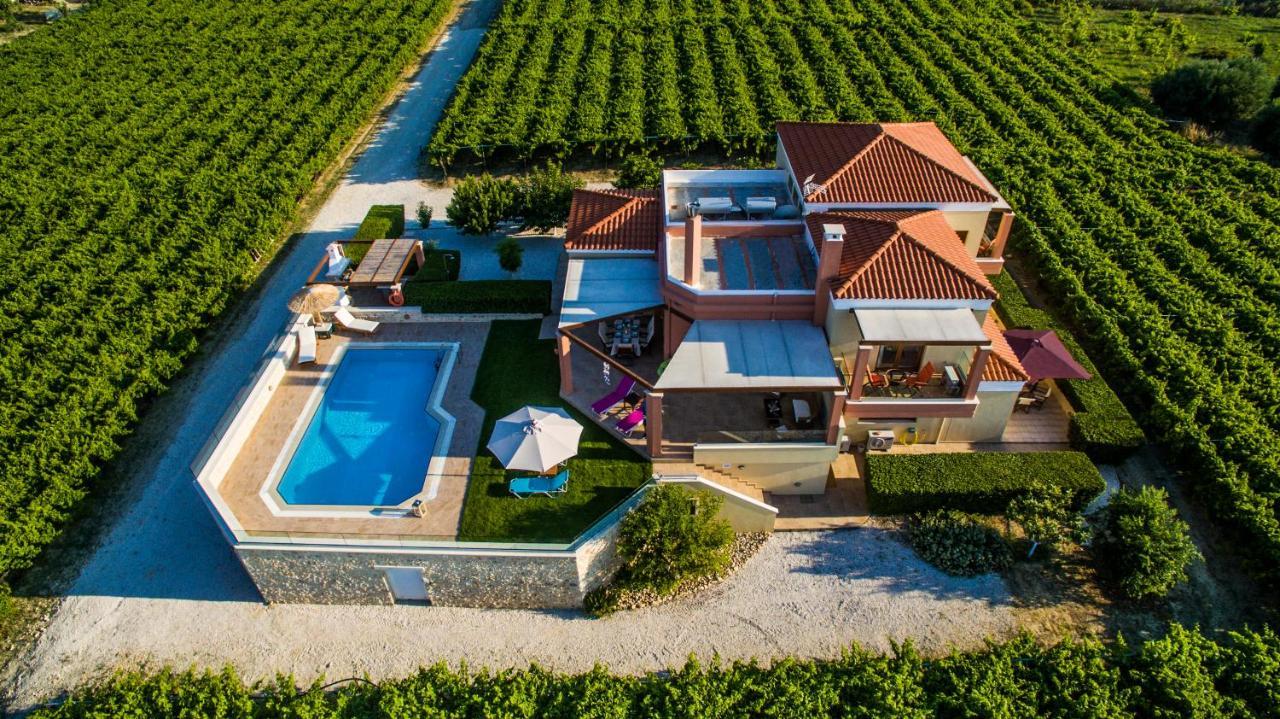 Cretan Vineyard Hill Villa Kato Kalesia المظهر الخارجي الصورة